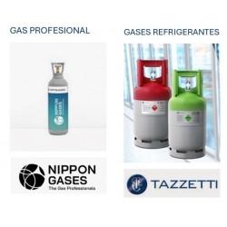GASES